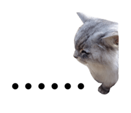 380501629