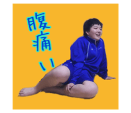 380501998