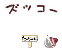 380521224