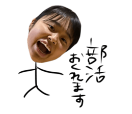 380523006