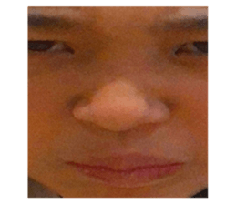 380523010