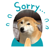 380524185