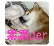 380524193