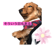 380530075
