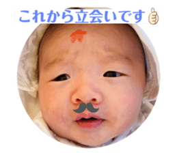 380553430