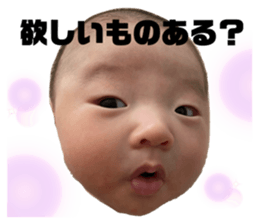 380553446