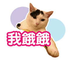 380597984
