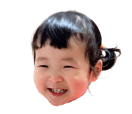 380606216