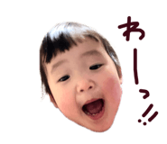 380606219