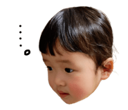 380606221
