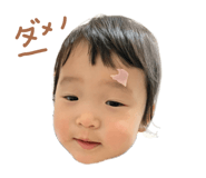 380606231