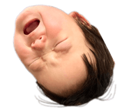 380606244