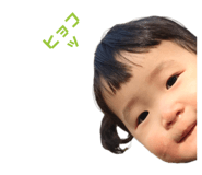 380606248