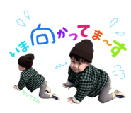 380632491