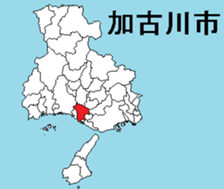 380672496