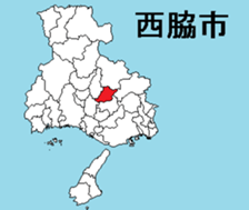 380672498