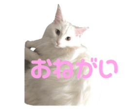 380711796