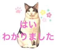 380787070