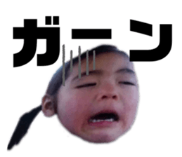 380795511