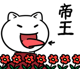 38080255