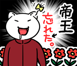 38080293