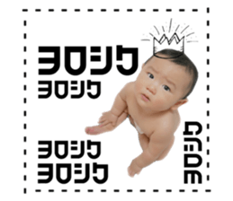 380806573