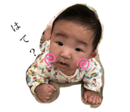 380806694
