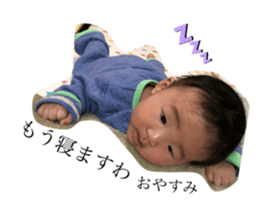 380806696
