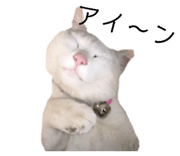 380806906