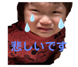 380823711