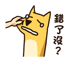 380922676