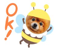 380924904