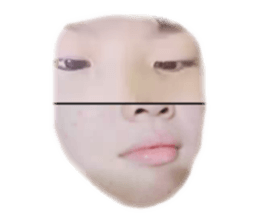 380950484