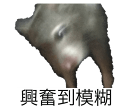 380980539