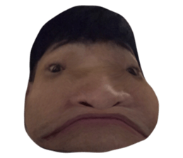 381056293