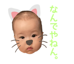 381106075
