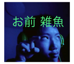 381106446