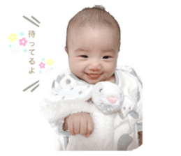 381110807