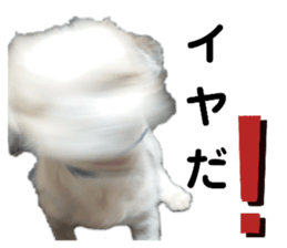 381126915