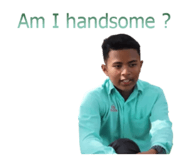 381131984