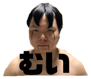 381185263