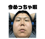 381185268