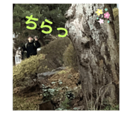 381235924