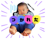 381248858
