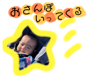 381248870