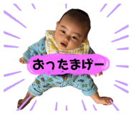 381248877