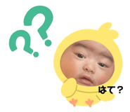 381248893