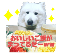 381271342