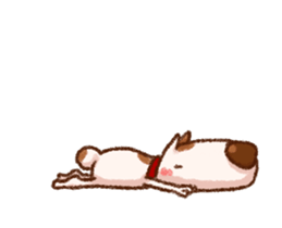 38127907