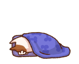 38127913